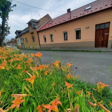 Salgótarján Kis Rigo Vendeghaz酒店 外观 照片