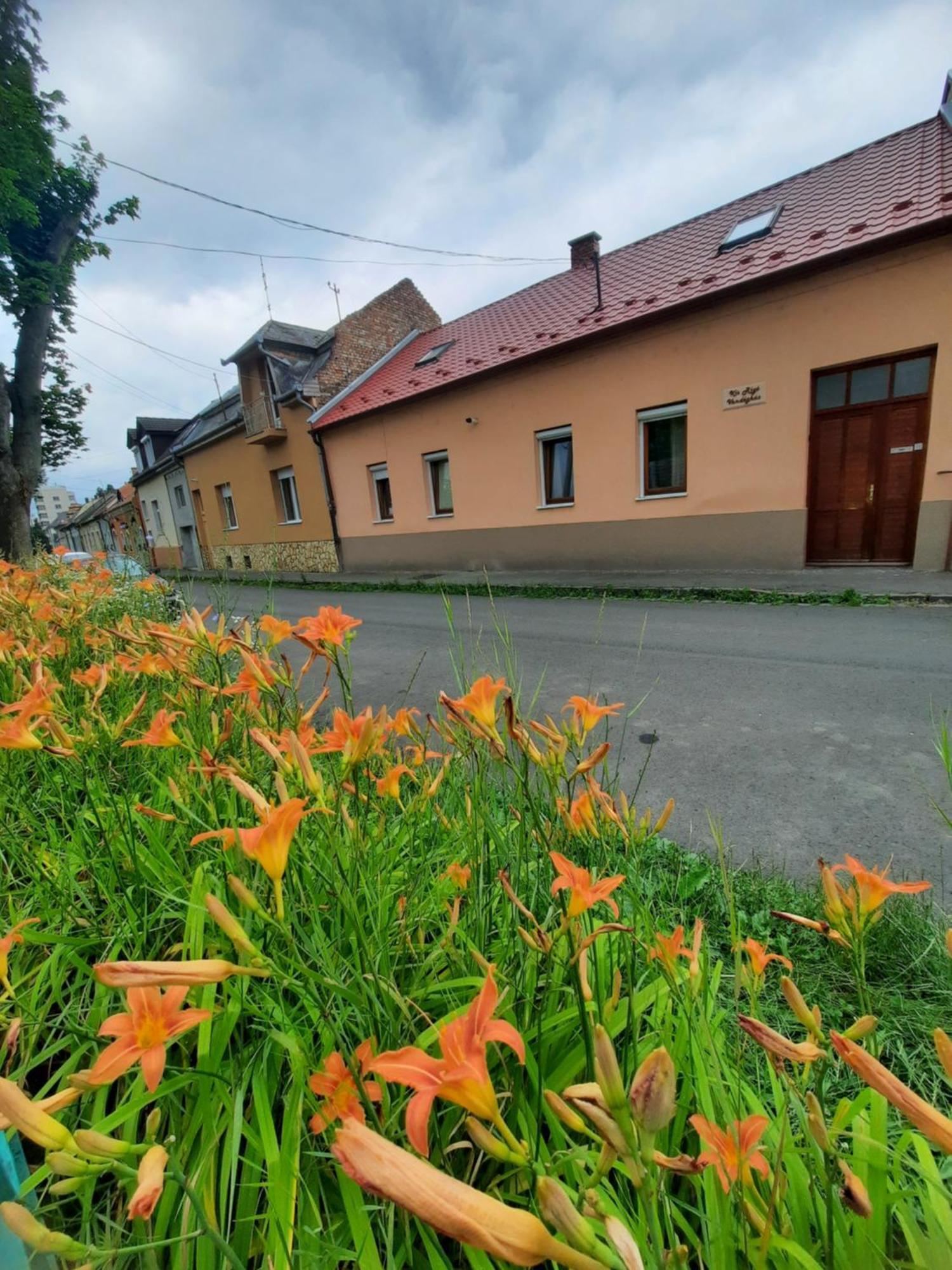 Salgótarján Kis Rigo Vendeghaz酒店 外观 照片